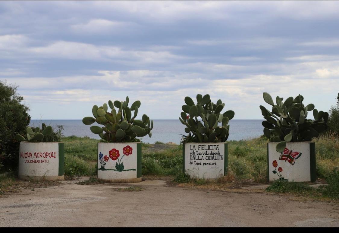 Samoa Beach アレネッラ エクステリア 写真